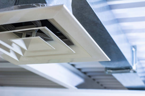 Best Ductwork Cleaning Services  in Niles, MI