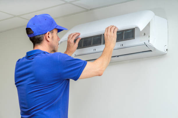 Best Residential Air Duct Cleaning  in Niles, MI