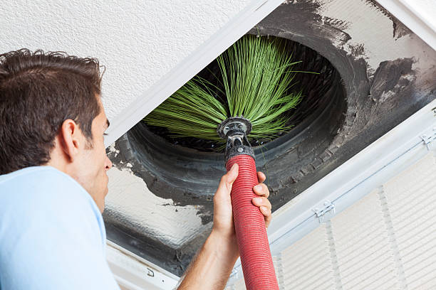 Best Air Duct Cleaning Near Me  in Niles, MI